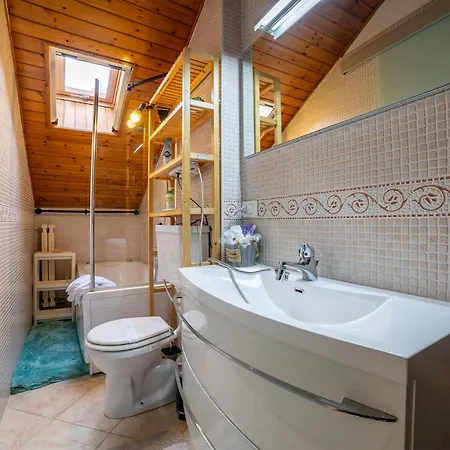 Loft Bosco Incantato Al Lucernario 3*